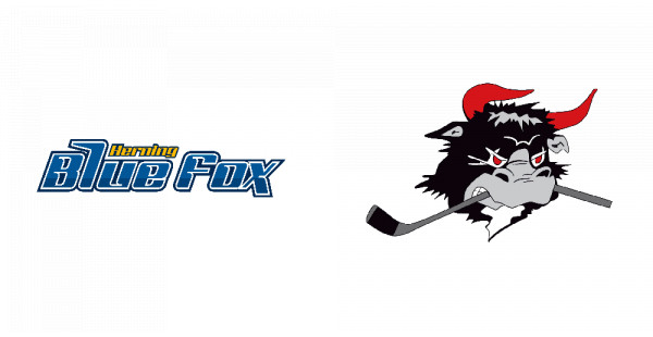Herning Blue Fox vs. Rødovre Mighty Bulls